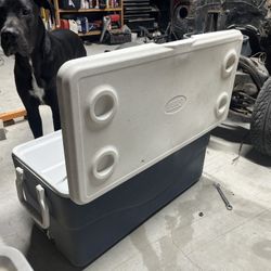 Coleman 150 Quart