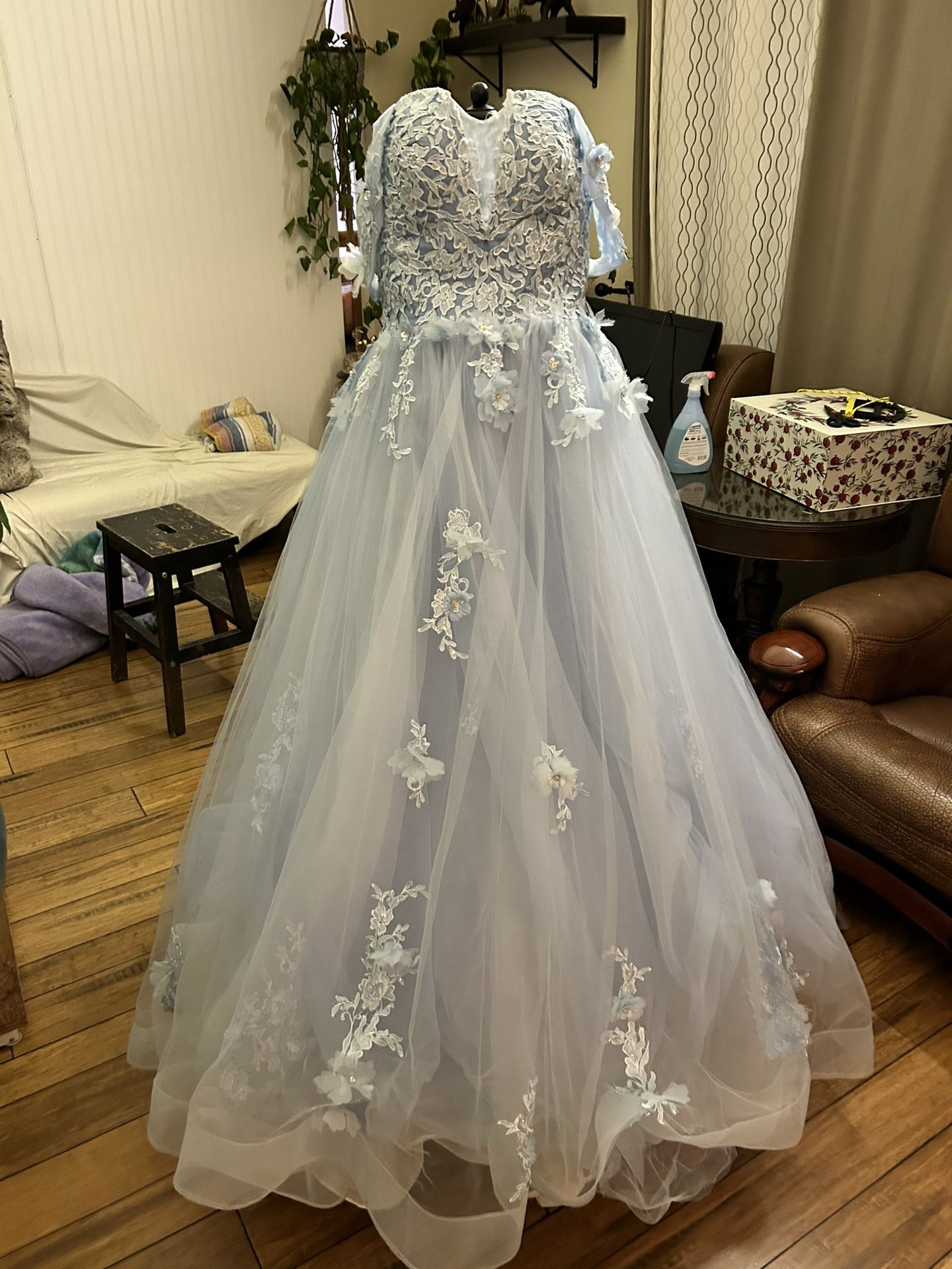 Ball Gown/quinceanera Dress Size 0-4 Adjustable 