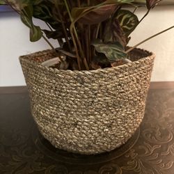 Woven Seagrass Flower or Plant Basket