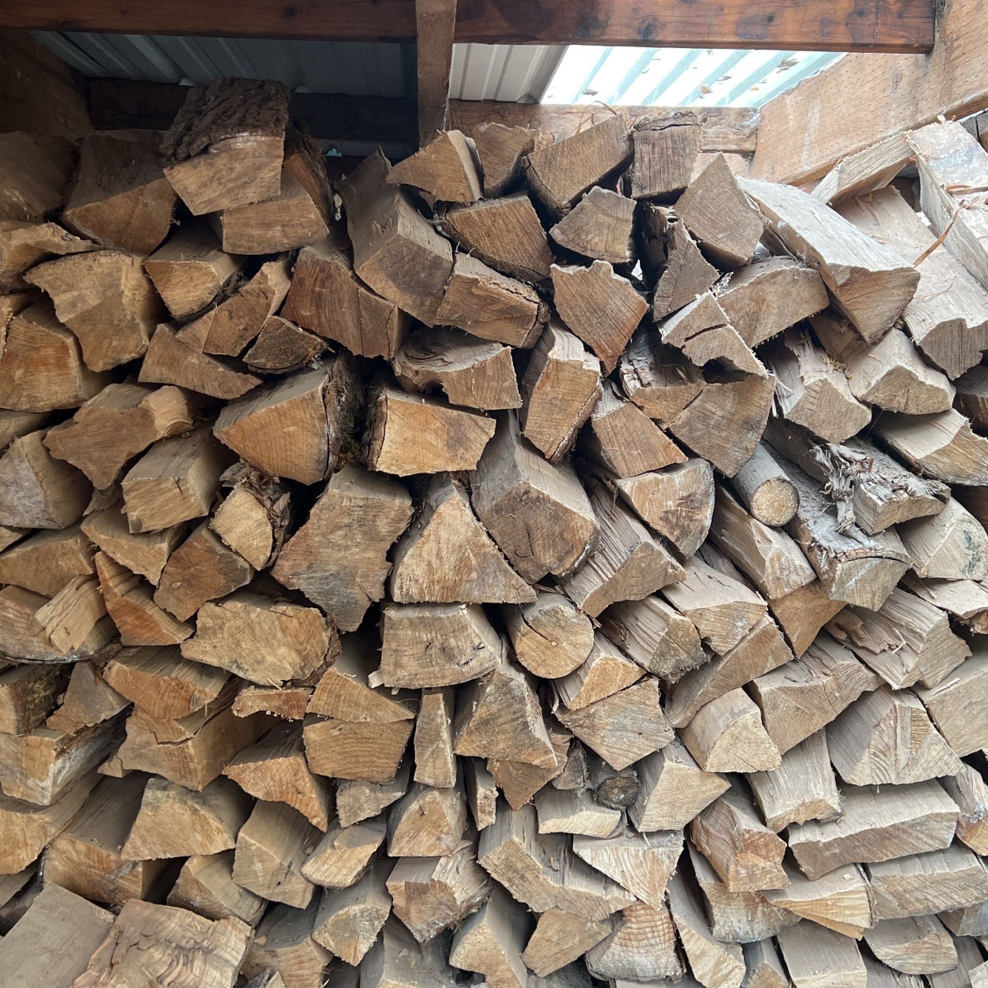 Premium Maple firewood