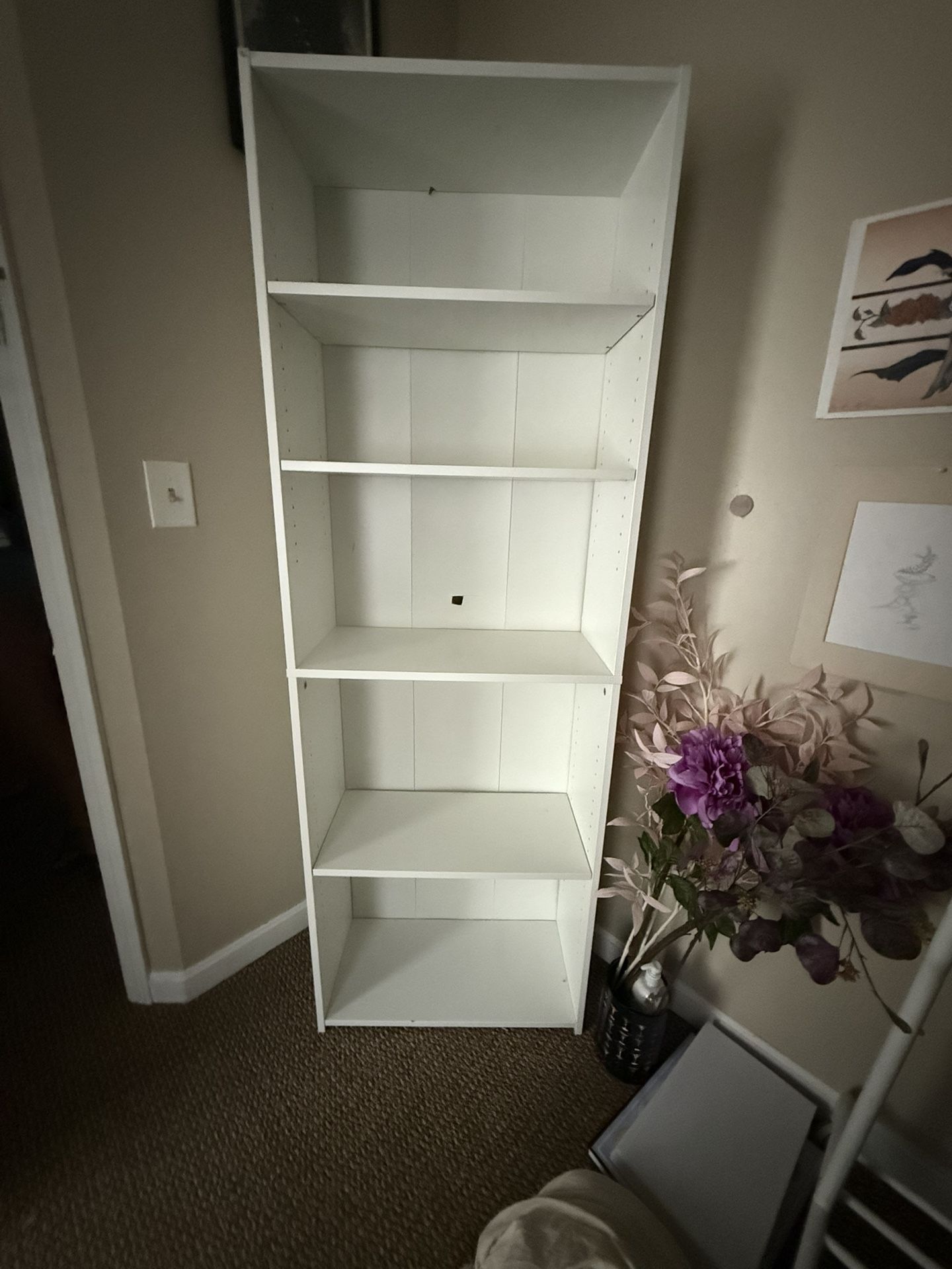 5 Shelf Storage