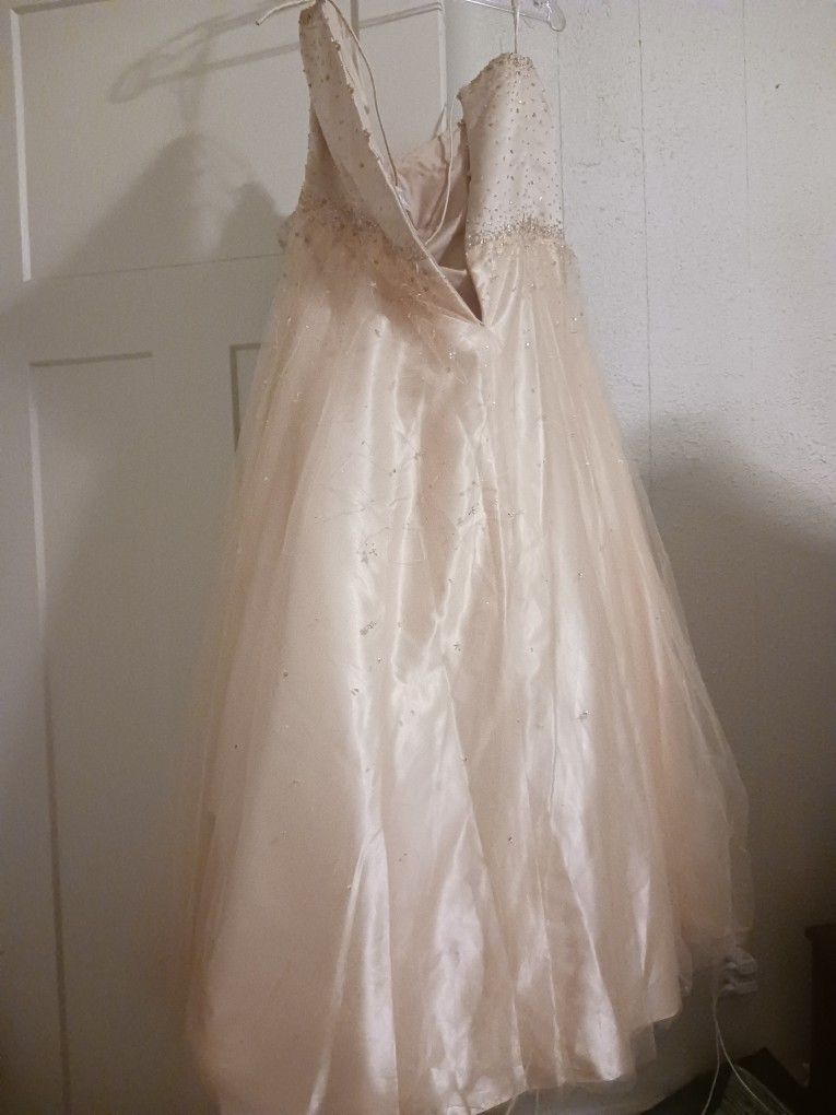 Strapless Wedding Dress Or Ballgown Dress