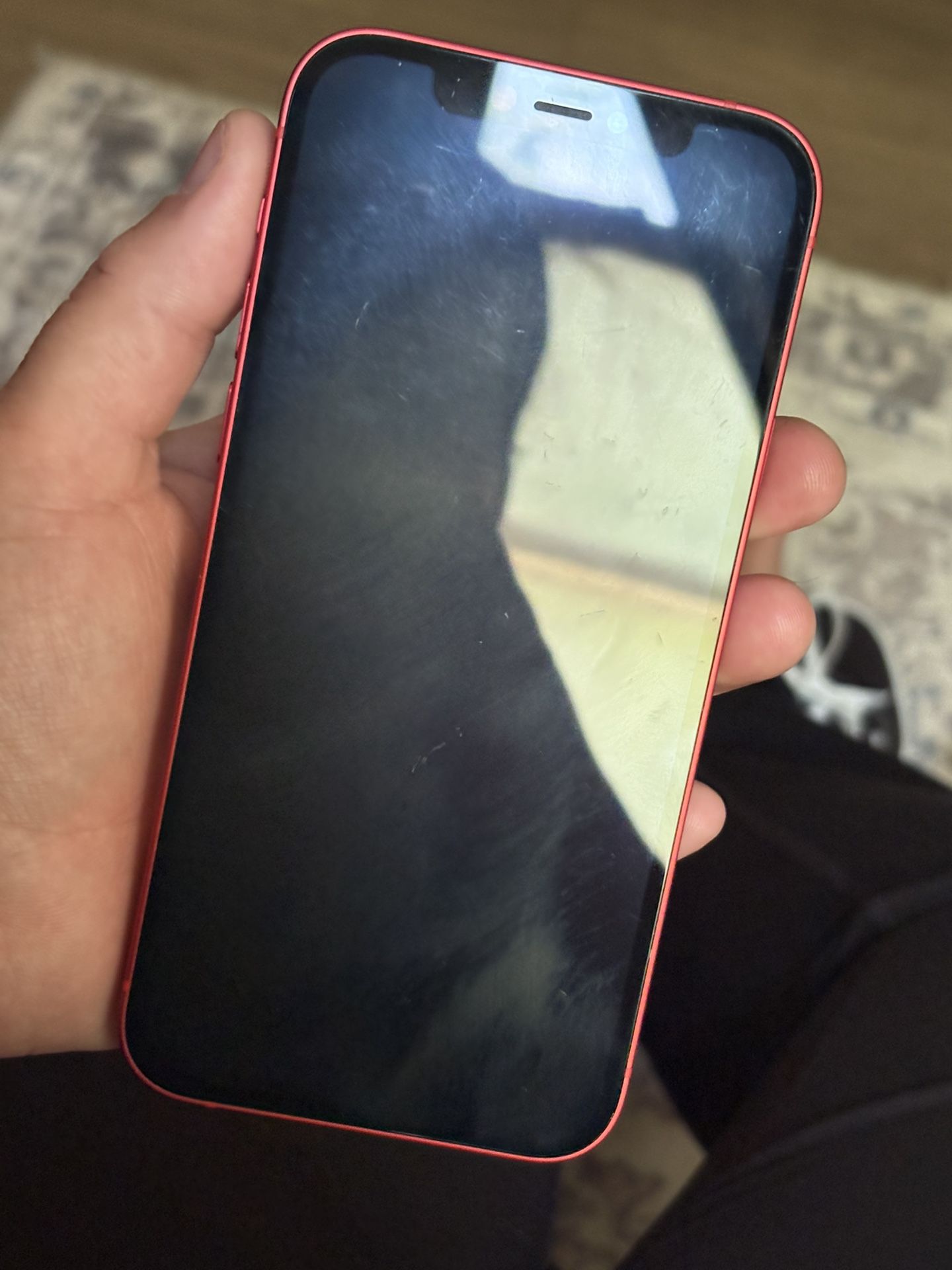 iPhone 12