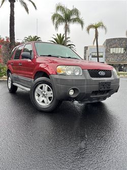 2007 Ford Escape XLT