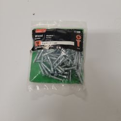 100 Piece Wood Screws