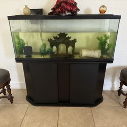 55 Gallon Aquarium 