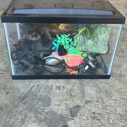 Fish Tank