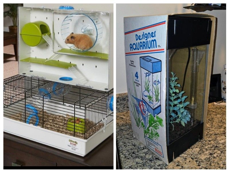 Either 🐠🌿4 gallon aquarium in box or🐁hamster Or Small pet cage. $45 each Holmdel nj