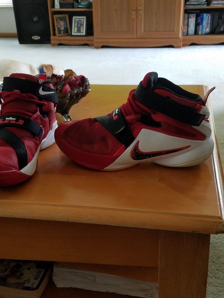 Lebron's Soldier Shoes