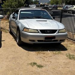 2000 Ford Mustang