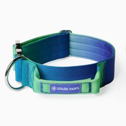 Comfort Control Collar - Lime Wave by Spark Paws