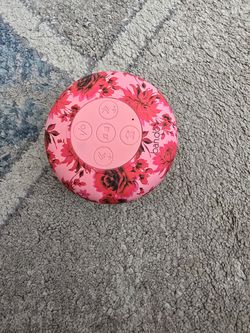Shower speaker