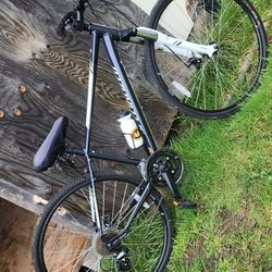 Womens Specialized Ariel Bike