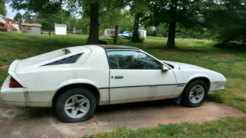 Firebird notchback rear hatch