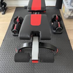 Bowflex Dumbbells, Weight Bench and Floor Mat