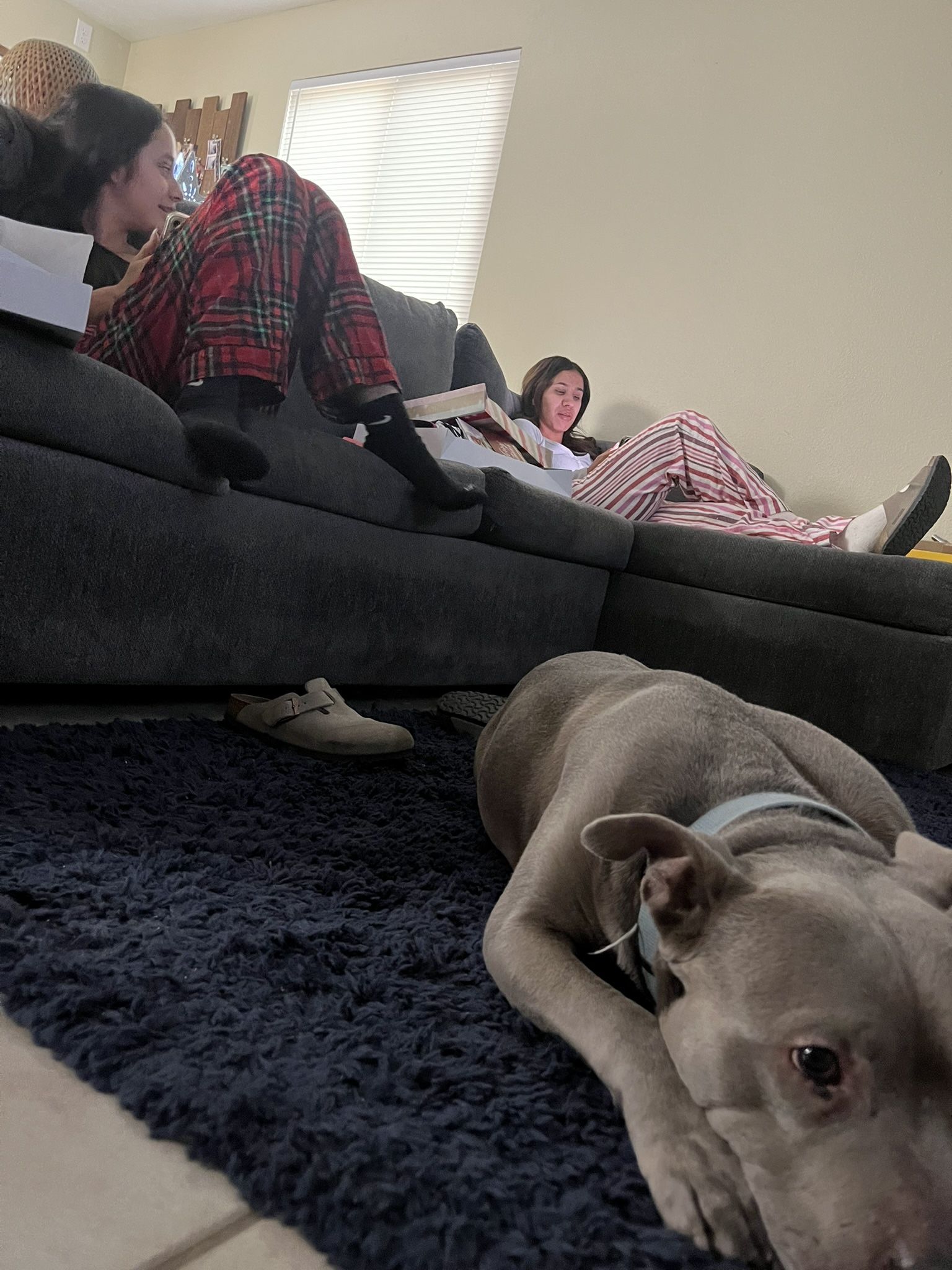 Gray Sectional