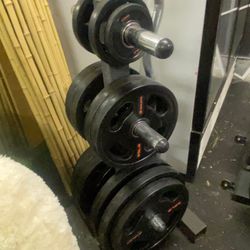 Gym Weight Plates