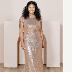 revelry chloe sequin dress 