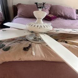 White Ceiling Fan