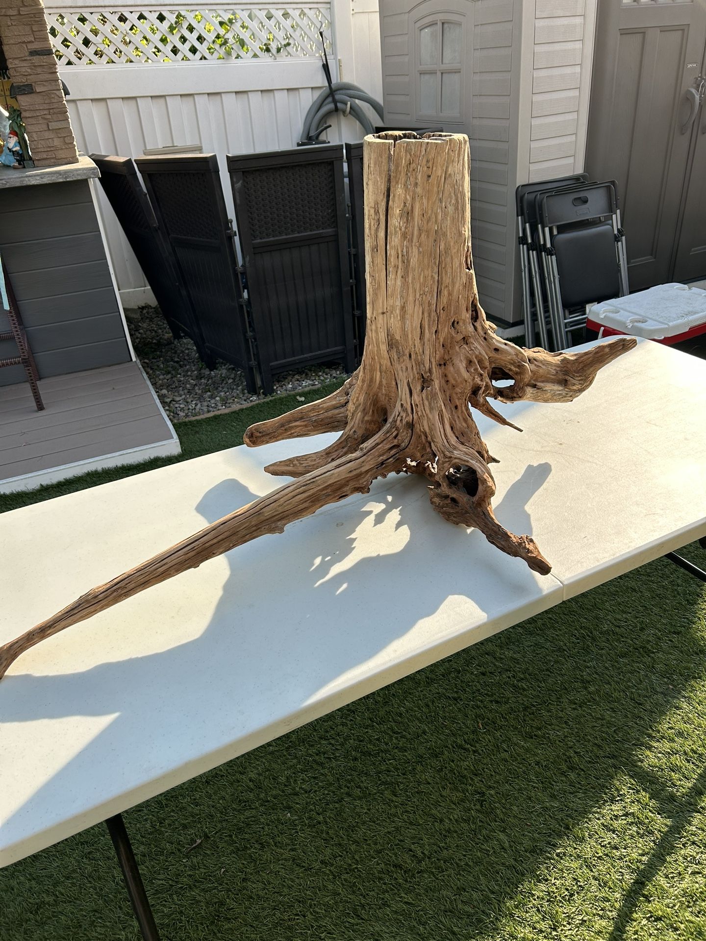 Driftwood