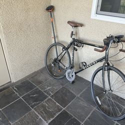 Bianchi Volpe 