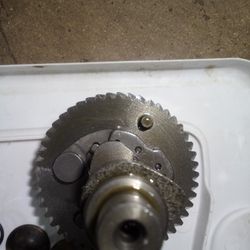 Predator Non Hemi Camshaft 