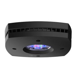 AI Prime HD Reef - Black + metal arm black