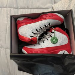 Retro Jordan Number 9s