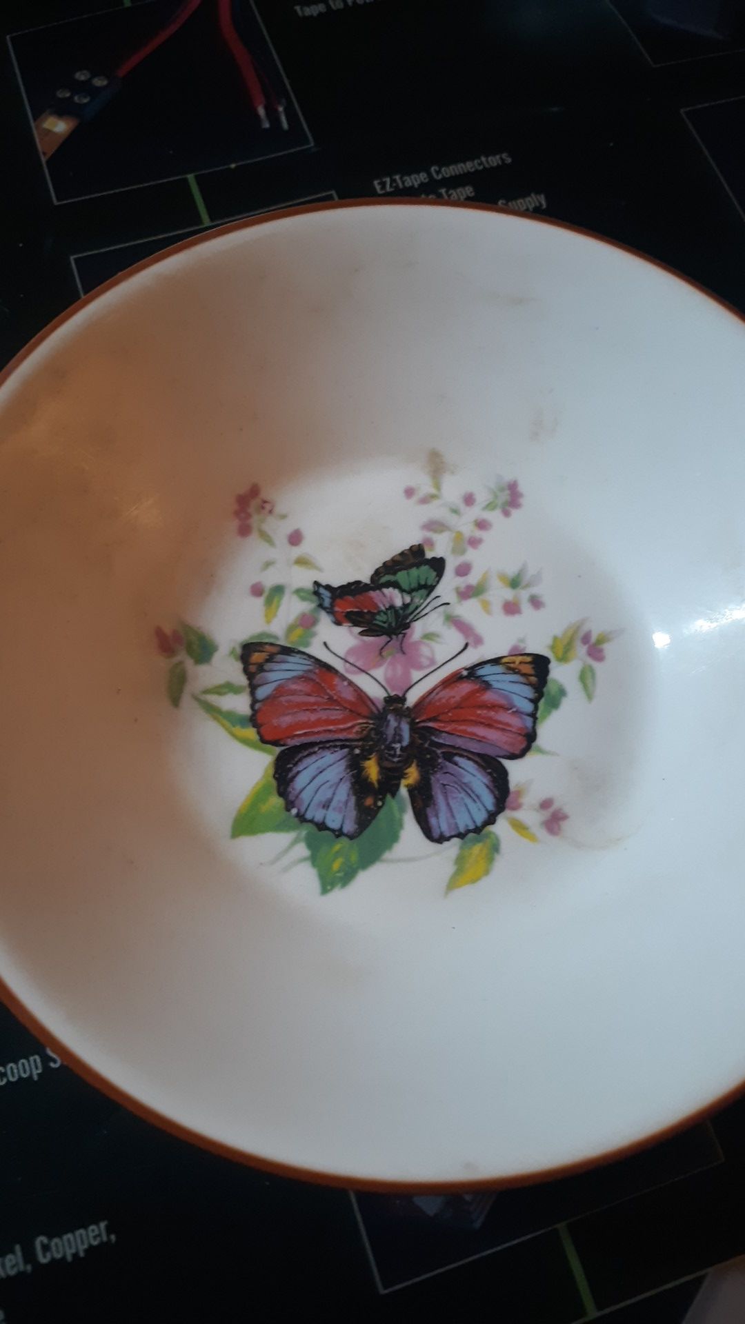 Butterfly Bowl