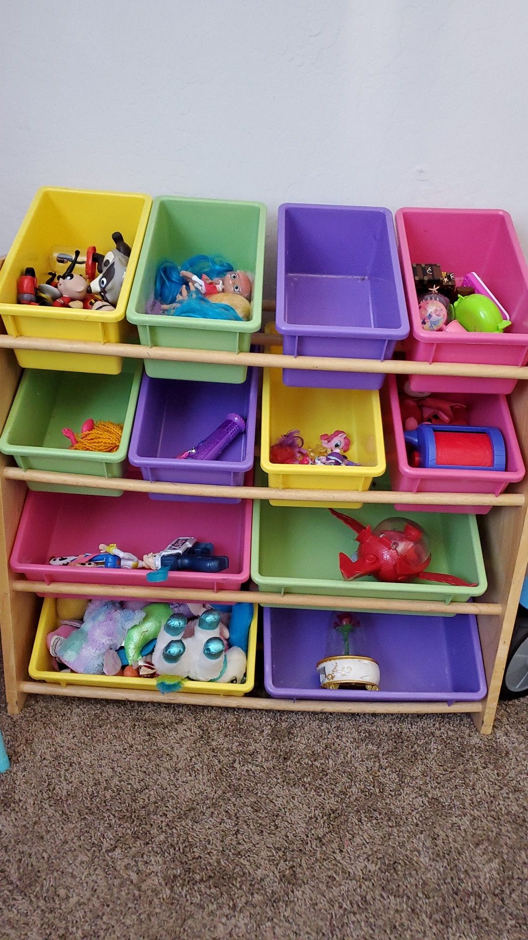 Toy bin organizer & toys