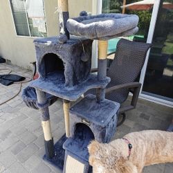 Cat Tree - Great Condition Free