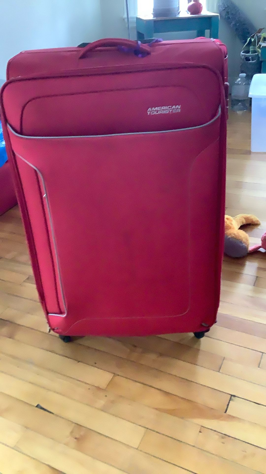 American Tourister Luggage