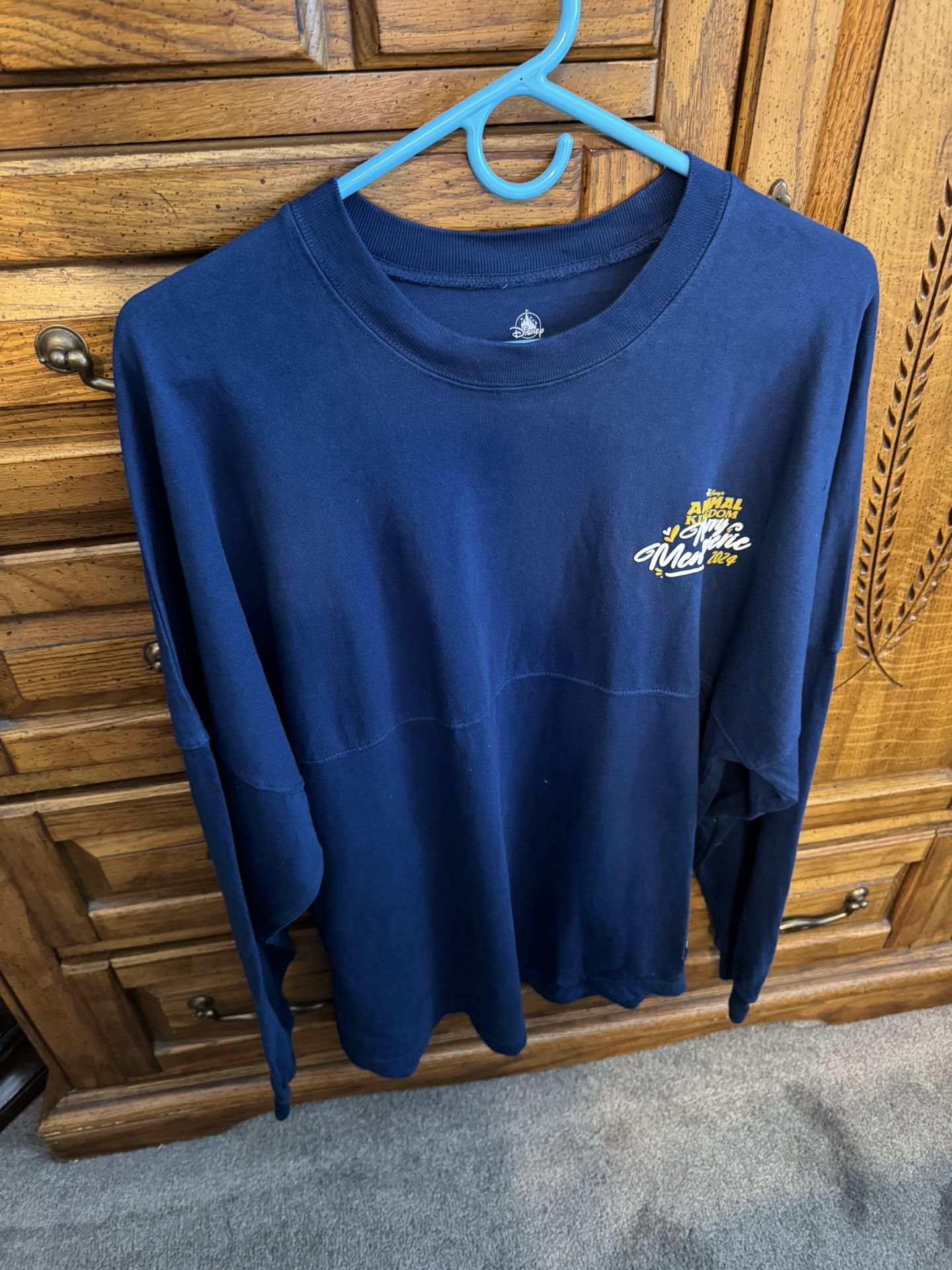 Disney Brand New Limited Edition Spirit Jersey