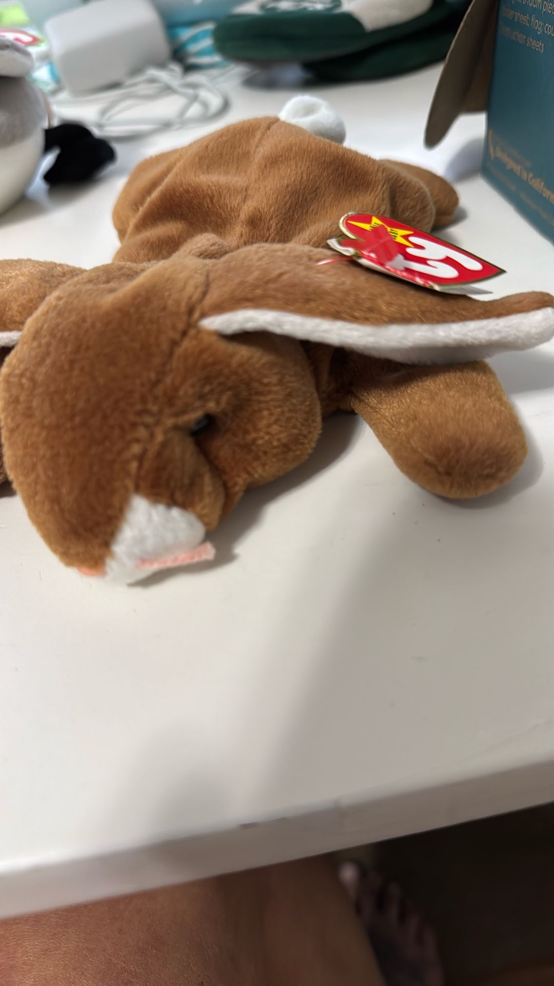 Beanie Baby Ears