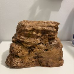 Reptile Hiding Cave