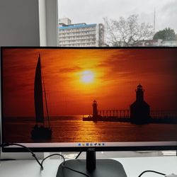 AOC monitor