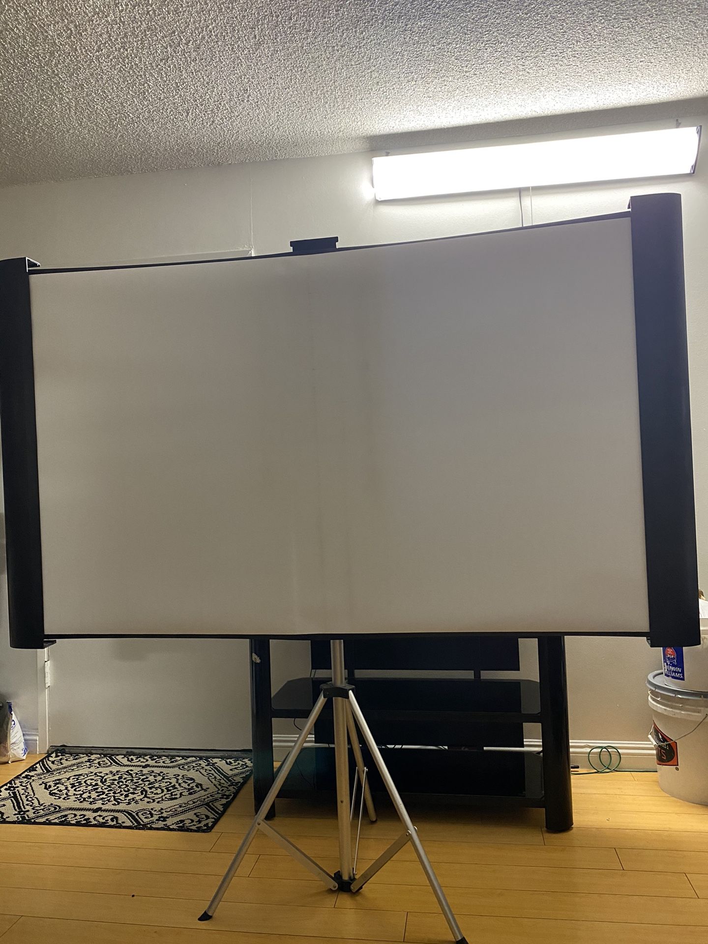 Portable Projection Screen