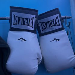 Everlast Boxing Gloves
