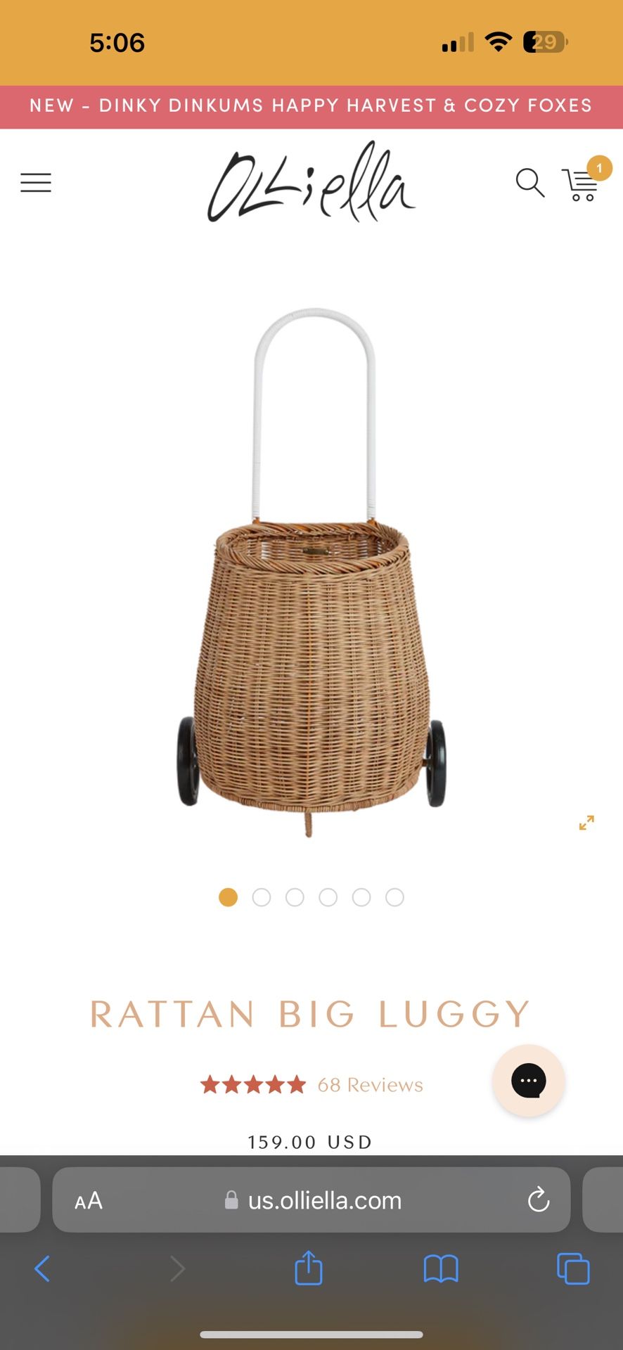 Adorable New Rattan Buggy