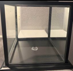 Memorabilia collectible display case