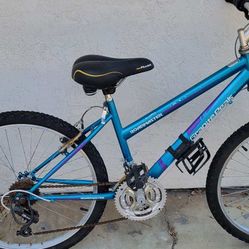 Two Bicycles (Adult/Toddler) (Read Description)