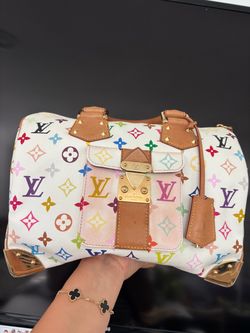 Louis Vuitton Multicolor Speedy Handbag
