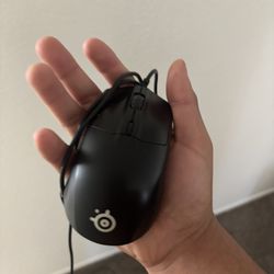 SteelSeries mouse 