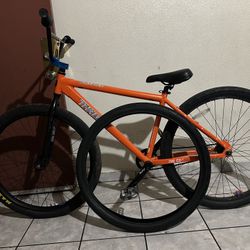 Throne 29er 