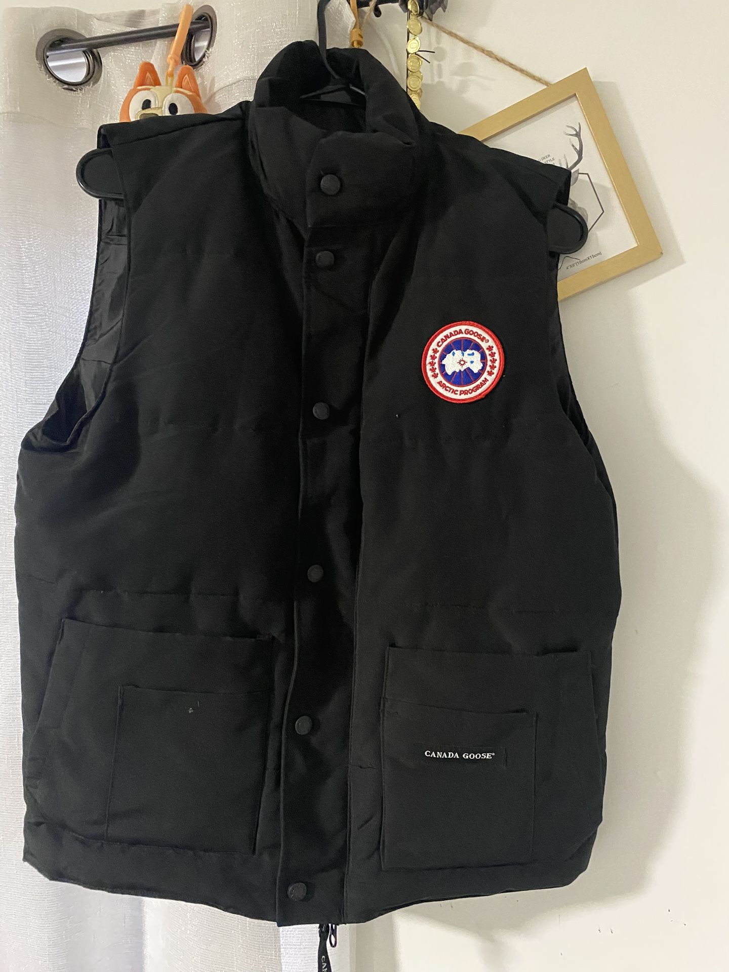 Canada Goose