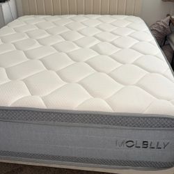 Molblly 14” Queen Hybrid Mattress – $80