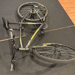 Nishiki Manitoba Hybrid bike