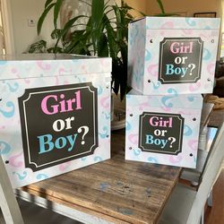Boy Or Girl Reveal