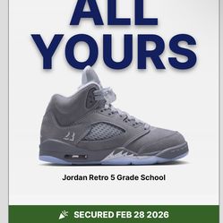 Brand New Jordan 5 wolf grey