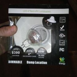 LED 4" Retrofit Luminaires